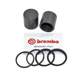 KIT REVISIONE GUARNIZIONE PINZE SL2 28