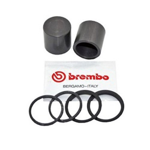 KIT REVISIONE GUARNIZIONE PINZE SL2 28