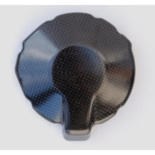 COPERCHIO ALTERNATORE IN CARBONIO LIGHTECH KAWASAKI ZX 6 (07-08)