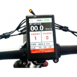 BICICLETTA ELETTRICA REDWOOD X 250W - PIEGHEVOLE CON PEDALATA ASSISTITA -