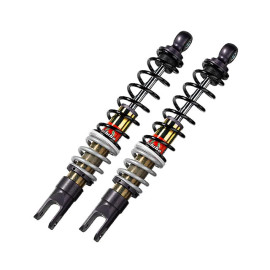 Ammortizzatore Anteriore Bitubo YRB 02 (Coppia) HONDA CN 250 (92/02)