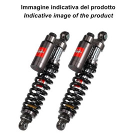Coppia di ammortizzatori posteriore Bitubo WMT 03 per HARLEY-DAVIDSON XL 883L SUPERLOW (11-13) - 883 SPORTSTER HUGGER (93-03) - XL 53 C SPORTSTER (99-10) - XL 1200 CUSTOM (96-08) - XL 1200 C CUSTOM CT (09-13) - XL 1200 X FORTY EIGHT (09-12)