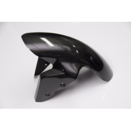 Parafango in Carbonio lucido LIGHTECH per BMW S 1000 RR (2009-2017>) - S 1000 R (2014-2017>)