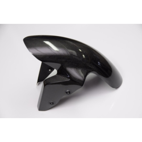Parafango in Carbonio lucido LIGHTECH per BMW S 1000 RR (2009-2017>) - S 1000 R (2014-2017>)