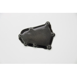 Coperchio Pick up in Carbonio lucido LIGHTECH per BMW S 1000 RR (2009-2016>) - S 1000 R (2014-2016>)