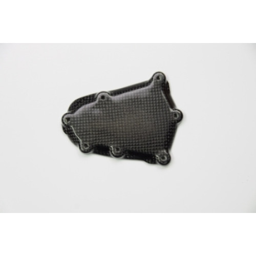 Coperchio Pick up in Carbonio lucido LIGHTECH per BMW S 1000 RR (2009-2016>) - S 1000 R (2014-2016>)