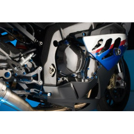 Protezione Telaio in Carbonio Lucido per BMW S 1000 R (2014-2016) - S 1000 RR (2009-2016)