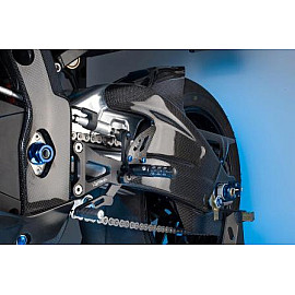 Protezione Forcellone in Carbonio Lucido per BMW S 1000 R (2014-2015) - S 1000 RR (2009-2015)