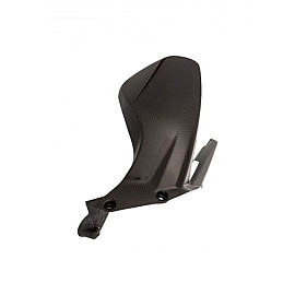 PARAFANGO POSTERIORE IN CARBONIO LIGHTECH per DUCATI PANIGALE 1100 V4 (2019-2021>)