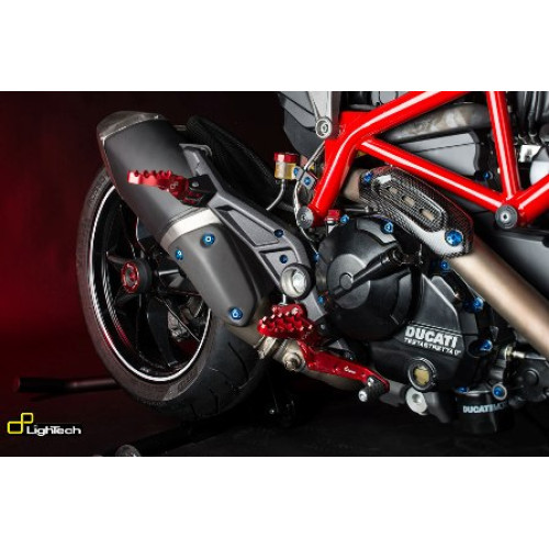 Protezione Forcellone in Carbonio Opaco per DUCATI HYPERMOTARD 821 (2013-2015) - HYPERSTRADA (2013-2015)