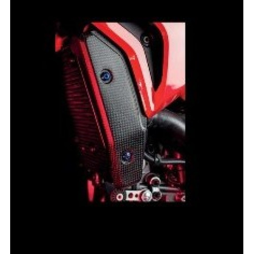 Fianchetti Radiatore in Carbonio Opaco per DUCATI HYPERMOTARD 821 (2013-2015) - HYPERSTRADA (2013-2015)