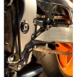Copri Catena in Carbonio per HONDA CBR 1000 RR (2008-2015)