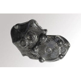 Coperchio Alternatore in Carbonio LIGHTECH per KAWASAKI ZX10 R (2008-2010)