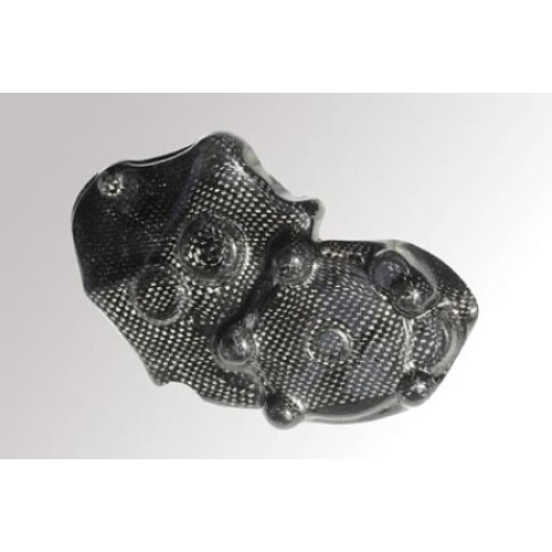 Coperchio Alternatore in Carbonio LIGHTECH per KAWASAKI ZX10 R (2008-2010)