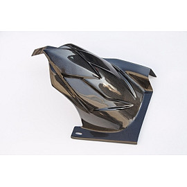 Parafango Posteriore in Carbonio LIGHTECH per KAWASAKI Z 750 (2007-2012)
