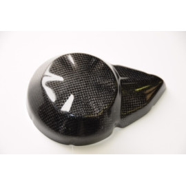 Coperchio Alternatore in Carbonio LIGHTECH per KAWASAKI Z 750 (2007-2012)