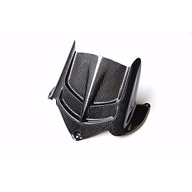 Parafango Posteriore in carbonio LIGHTECH per KAWASAKI ZX6 R (2009-2015)