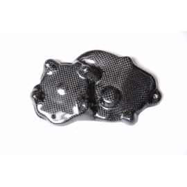 Coperchio Alternatore in carbonio LIGHTECH per KAWASAKI ZX6 R (2009-2015)