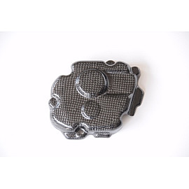 Coperchio Pick up in Carbonio LIGHTECH per KAWASAKI ZX10 R (2011-2016)