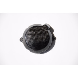 Coperchio Alternatore in Carbonio LIGHTECH per KAWASAKI ZX10 R (2011-2016)