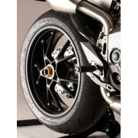 PARAFANGO POSTERIORE CARBONIO per TRIUMPH SPEED TRIPLE 1050 (2011-2015)