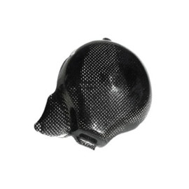 Coperchio Alternatore in carbonio LIGHTECH per YAMAHA YZF R6 (2006-2016>)
