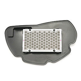 Filtro Aria Tipo Originale per HONDA PCX 125  (2010-2011)