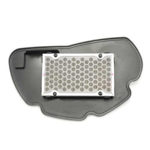 Filtro Aria Tipo Originale per HONDA PCX 125  (2010-2011)