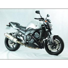 Puntale Motore in ABS POWERBRONZE Colore Nero con Griglia Argento per YAMAHA FZ1 1000 N / S FAZER / ABS (2006/2015)