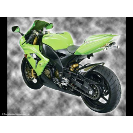 Parafango Posteriore  Colore  CARBON LOOK-SILVER MESH per KAWASAKI ZX10-R (04-05)
