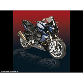 Parafango Posteriore CARBONIO - RETINA ORO per KAWASAKI Z1000 (07-09)