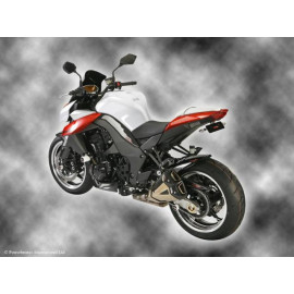 Parafango Posteriore BIANCO - RETINA ORO per KAWASAKI Z1000 (10-13) / Z1000SX (11-13)