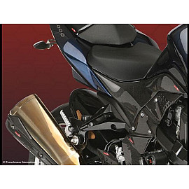 Parafango Posteriore CARBONIO - RETINA ORO per KAWASAKI Z1000 (07-09)