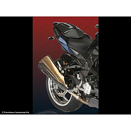 Parafango Posteriore CARBONIO - RETINA ORO per KAWASAKI Z1000 (07-09)