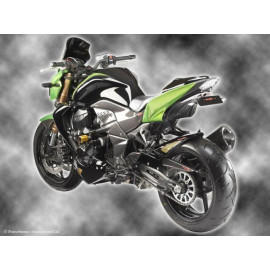 Parafango Posteriore CARBON LOOK-GOLD MESH per KAWASAKI Z 750 R (11-12)
