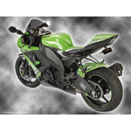Parafango Posteriore  Colore LIME GREEN-GOLD MESH per KAWASAKI ZX10-R (08-10)
