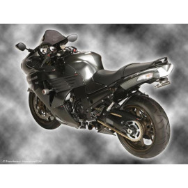 Parafango Posteriore CARBON LOOK-GOLD MESH per KAWASAKI ZZR1400 (06-11) / ZX-14R (06-11) (V4-0709 (ABS & NON ABS)