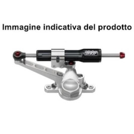 KIT Ammortizzatore di Sterzo Bitubo completo di  montaggio originale per BMW S1000RR (2015)