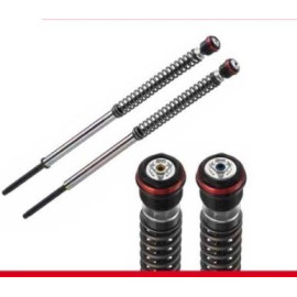 Kit cartucce forcella BITUBO JBH01WO complete di molle per KAWASKI ER-6N / ABS (2012-2016)