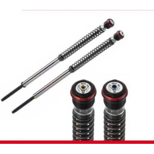 Kit cartucce forcella BITUBO JBH01WO complete di molle per KAWASKI ER-6N / ABS (2012-2016)