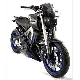 PARAFANGO ANTERIORE IN CARBONIO - YAMAHA MT-09 14/FZ-09 14 Colore CARBONIO - RETINA ORO