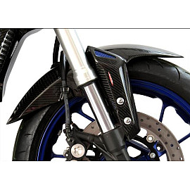 PARAFANGO ANTERIORE IN CARBONIO - YAMAHA MT-09 14/FZ-09 14 Colore CARBONIO - RETINA ORO