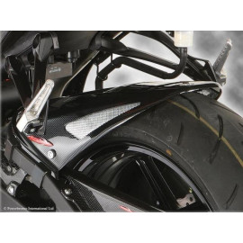 Parafango Posteriore  Colore VERDE LIME - RETINA ORO per KAWASAKI ZX6-R (05-06)