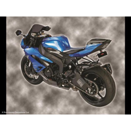 Parafango Posteriore  Colore  BIANCO - RETINA ORO per KAWASAKI ZX6-R (09-12)