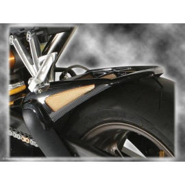 PARAFANGO POSTERIORE colore CARBON LOOK-GOLD MESH TRIUMPH DAYTONA 675 (06-12)