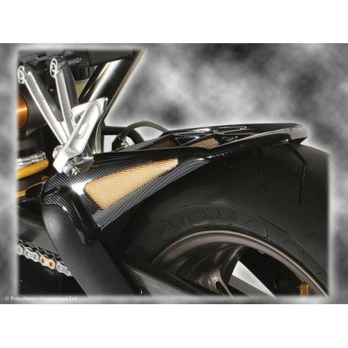 PARAFANGO POSTERIORE colore CARBON LOOK-GOLD MESH TRIUMPH DAYTONA 675 (06-12)
