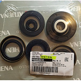 Serie paraolio motore YAMAHA YP MAJESTY 250 (1996-2003)