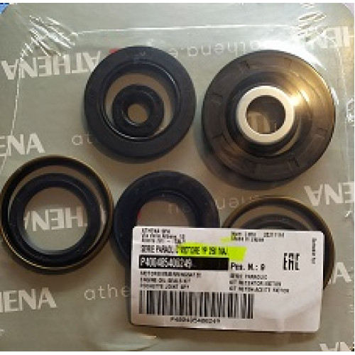 Serie paraolio motore YAMAHA YP MAJESTY 250 (1996-2003)