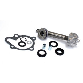 KIT RIPARAZIONE POMPA ACQUA KYMCO 125 / 200 DINK EURO 3