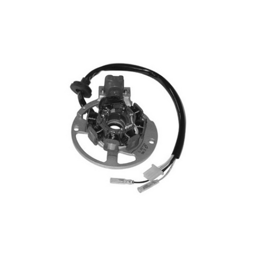 STATORE ADATTABILE YAMAHA / MINARELLI CAVI LUNGHI per MBK BOOSTER 50 - APRILIA SCARABEO 50 - YAMAHA AEROX 50
